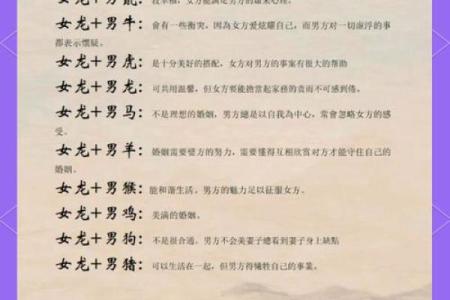 属龙人适合的配对指数是多少