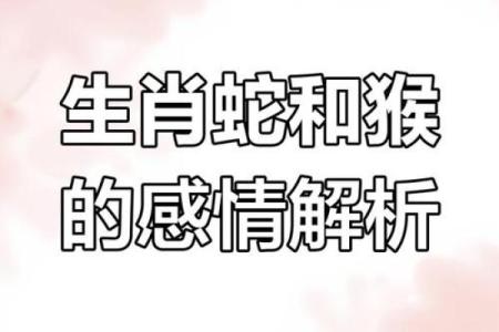龙蛇相配的可能性揭秘：性格与命运的碰撞