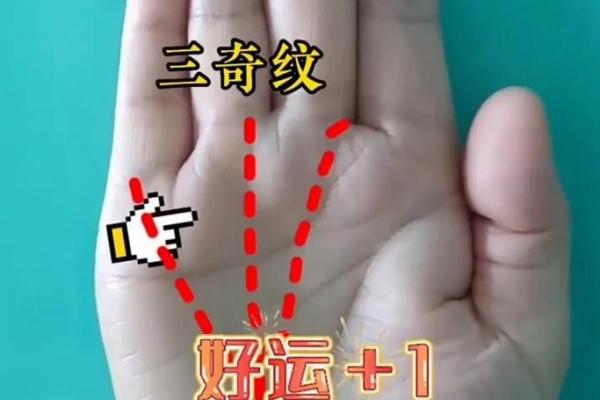 手相学:富贵命的人常见手型解析 手相学:富贵命的人常见手型解析