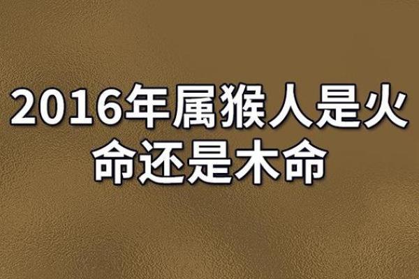 猴人在的运势起伏与应对策略 猴人在的运势起伏与应对策略