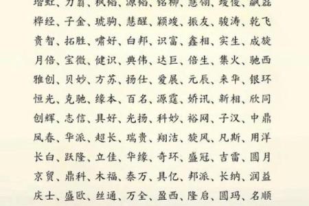 公司名字的由来与意义解析