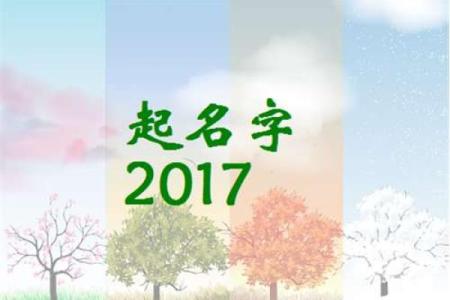 鸡宝宝名字测试与打分指南 选个寓意满满的好名字