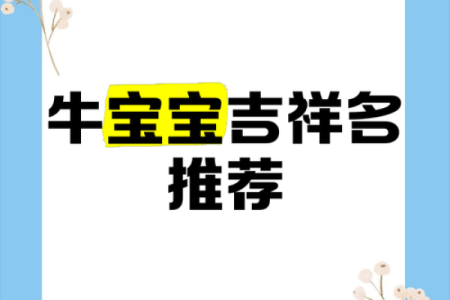 牛宝宝起名推荐，涵盖传统与现代风格