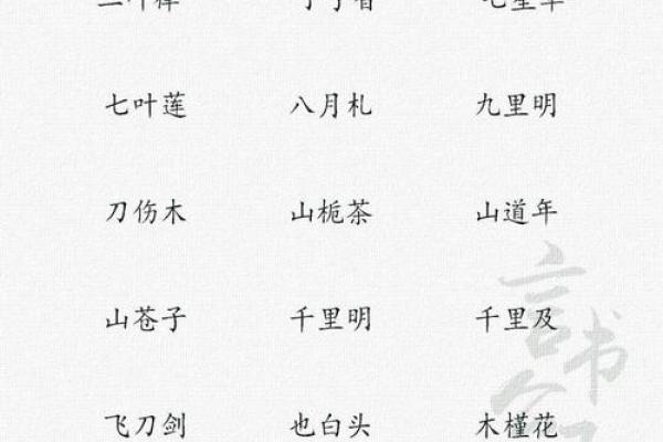 适合女生的优雅微信名字推荐