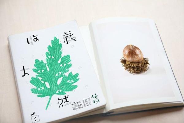 Jayden：蕴含智慧与勇气的名字解析