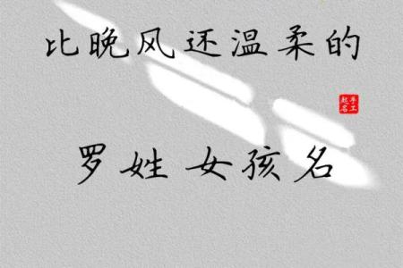 罗姓女孩名字推荐与寓意解析