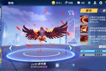 如何为飞车宠物取一个个性化的名字