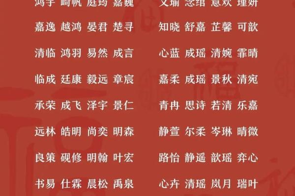 宝宝起名网：专业命名服务让宝宝名字更有格调