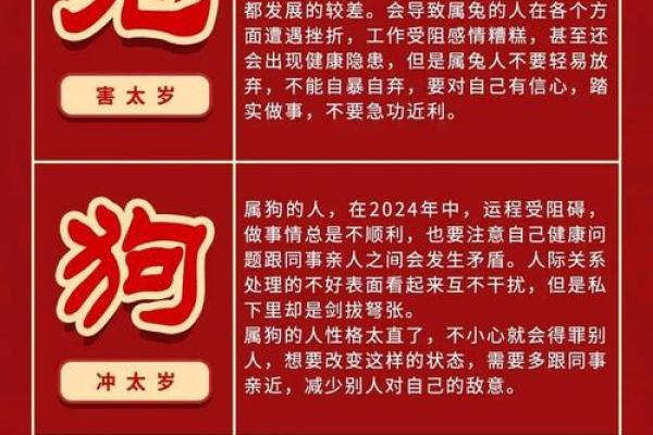 生肖的运势变化与应对策略 生肖的运势变化与应对策略