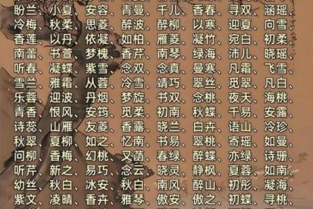 宝宝名字的文化密码：如何从传统中汲取灵感