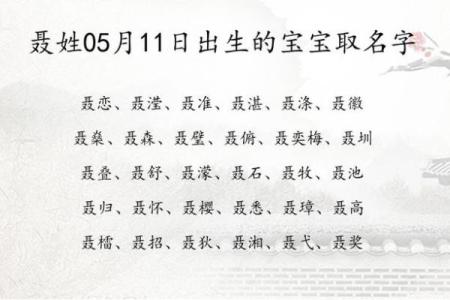 宝宝起名网：专业命名服务让宝宝名字更有格调