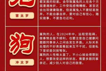 生肖的运势变化与应对策略