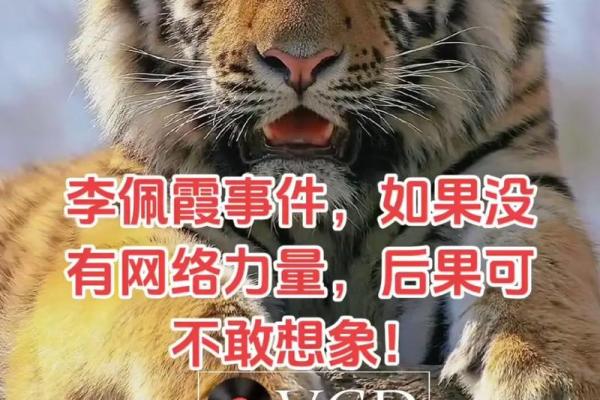 本命年虎男的情感生活会有惊喜吗 本命年虎男的情感生活会有惊喜吗