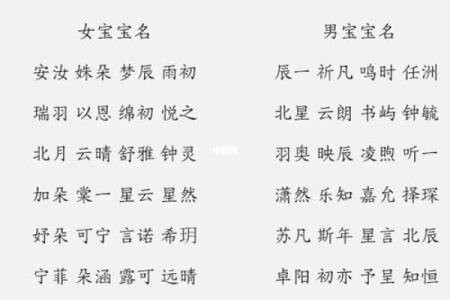 宝宝名字推荐：胡子安寓意与选择解析
