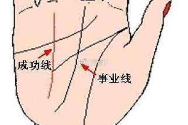 从手相看命运：命好的人掌纹有哪些独特之处
