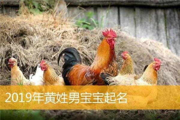 鸡年出生男宝宝命名技巧与推荐