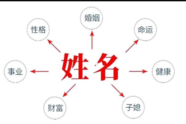查看名字的技巧，助你快速识别个体特征