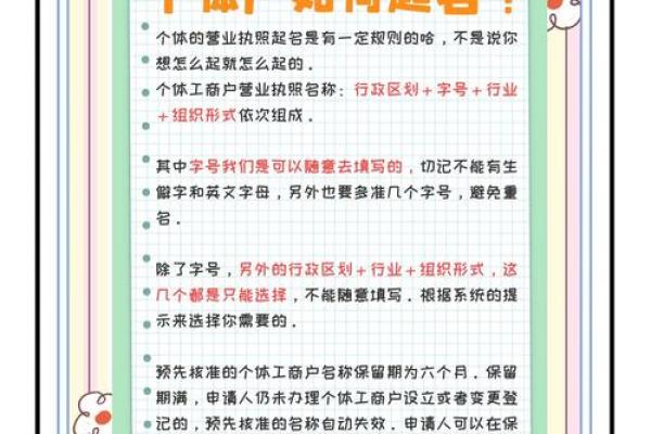 查看名字的技巧，助你快速识别个体特征