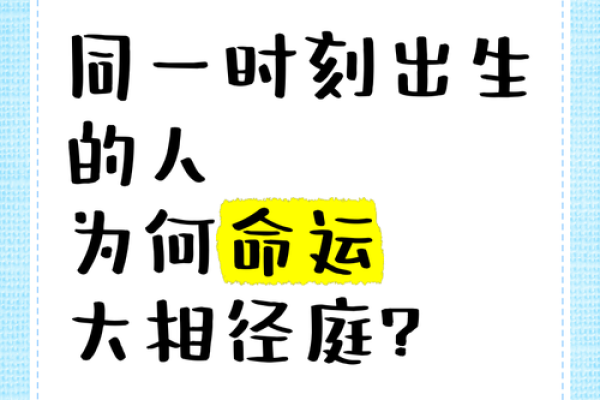 出生的人命运解析：这一年是什么命运之年