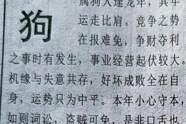 属狗人的每月运势解析 属狗人的每月运势解析