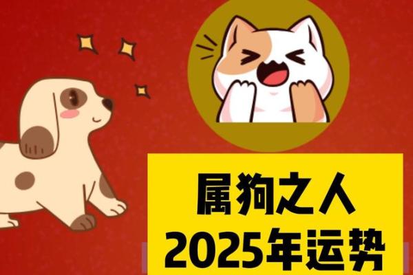 属狗人的每月运势解析 属狗人的每月运势解析
