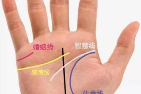 从手相看命运：命好的人掌纹有哪些独特之处