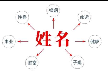 查看名字的技巧，助你快速识别个体特征