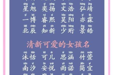 宝宝起名免费测试，帮助你选择最合适的名字