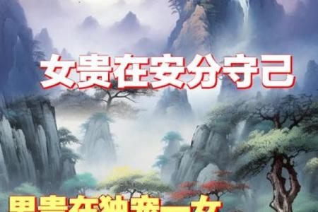 从公主命看女性独立与自我价值的追求