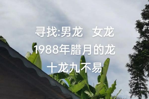 本命年龙女如何抓住职场晋升机会 本命年龙女如何抓住职场晋升机会