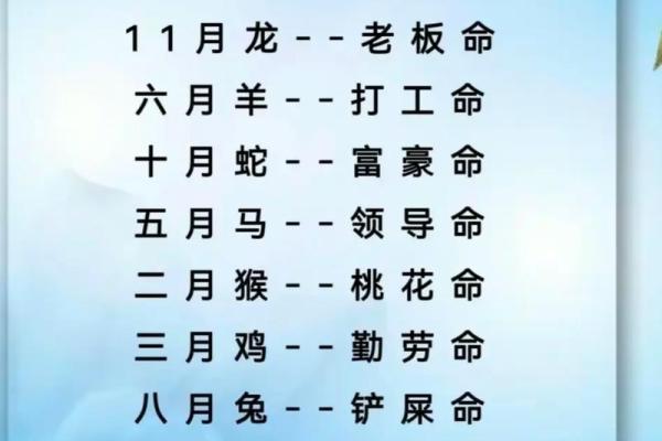 从动物看命运：命是代表哪些生命的象征