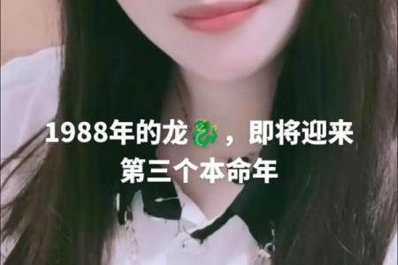 本命年龙女如何抓住职场晋升机会