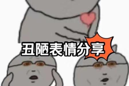 表情包名字解析：如何选一个能引起共鸣的表情包