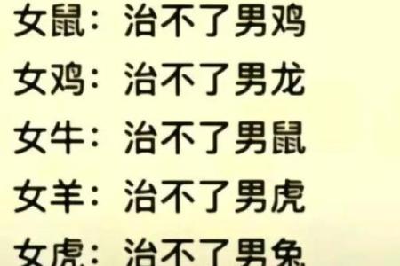 揭秘蛇女和羊男的星座相配指数