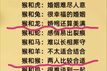 属狗男和属龙女的配对解析：缘分与挑战并存