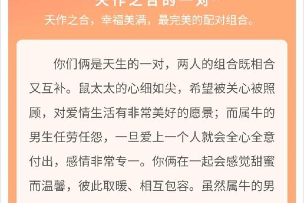 属鼠与属羊的缘分如何？探讨两者性格与婚配的适合度
