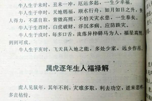 本命年属虎如何更好地沟通与合作 本命年属虎如何更好地沟通与合作