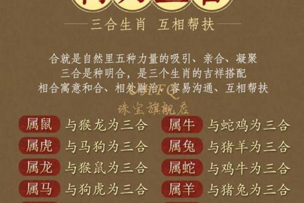 本命年属虎如何更好地沟通与合作 本命年属虎如何更好地沟通与合作