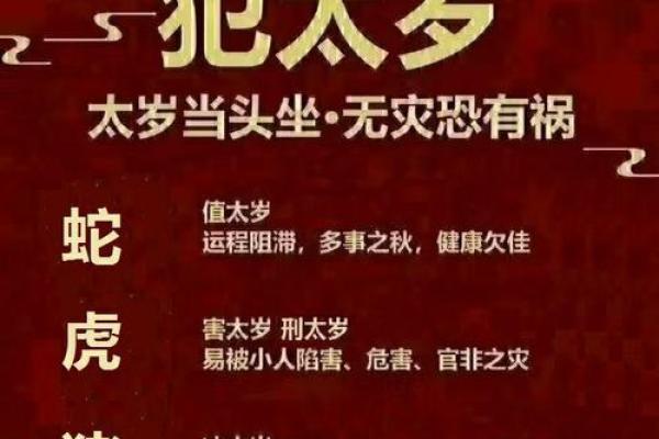蛇男本命年如何平衡工作与生活 蛇男本命年如何平衡工作与生活