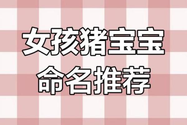 如何为猪宝宝取个吉利又独特的名字