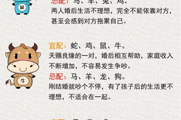 深度解读十年运程测算:不同生肖的命运走势 深度解读十年运程测算:不同生肖的命运走势