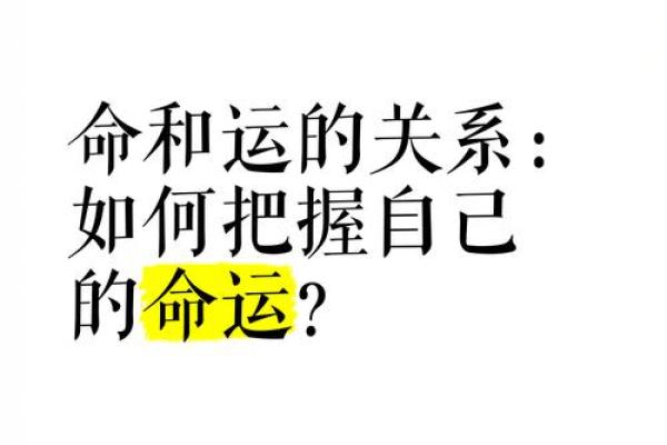 从身命到命运：探索生命的本质与价值