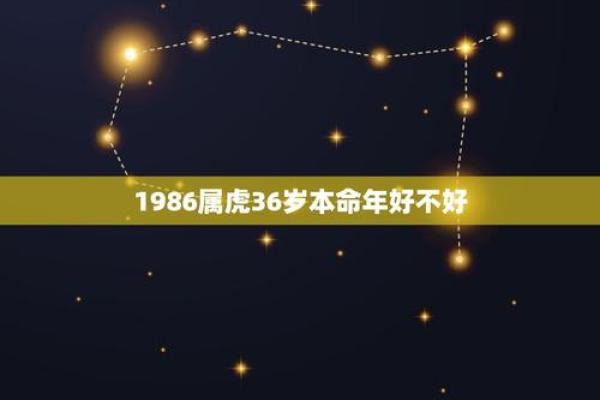 本命年龙女的婚姻运势解析 本命年龙女的婚姻运势解析
