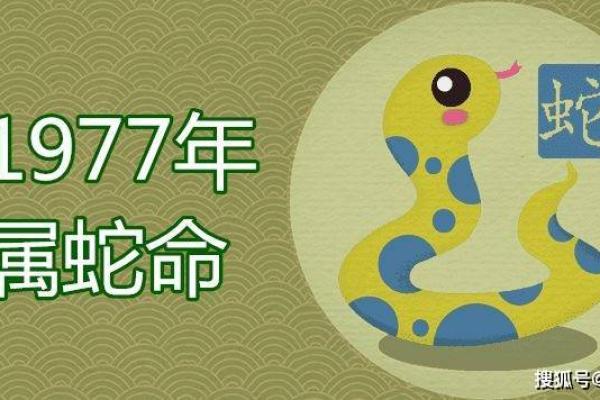 属蛇的命运起伏:每月运程的变化与应对策略 属蛇的命运起伏:每月运程的变化与应对策略
