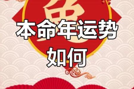 兔男本命年如何提升感情运势