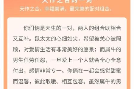 属鼠与属羊的缘分如何？探讨两者性格与婚配的适合度