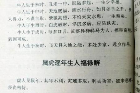 本命年属虎如何更好地沟通与合作