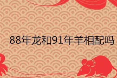 从生肖看男属羊女属龙的婚配前景