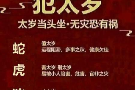 蛇男本命年如何平衡工作与生活