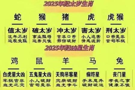 虎属相与其他生肖的配对解析：婚姻运势